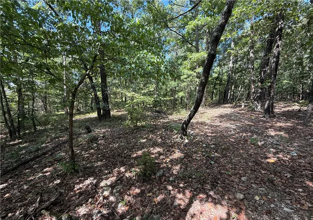 3rd image of 000 Tract D County Rd 516, Berryville, AR 72616 | MLS# 1317226