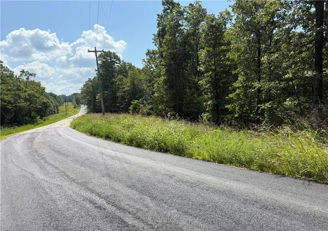 4th image of 000 Tract D County Rd 516, Berryville, AR 72616 | MLS# 1317226