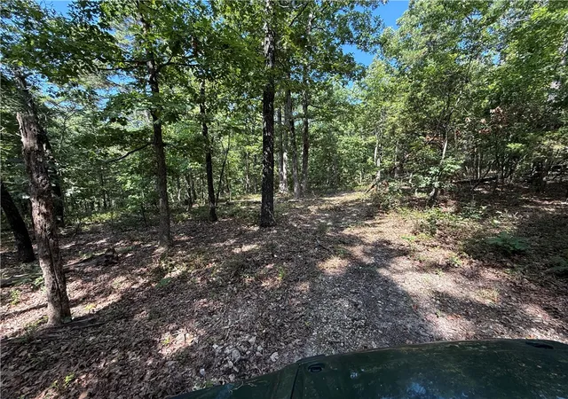 5th image of 000 Tract D County Rd 516, Berryville, AR 72616 | MLS# 1317226