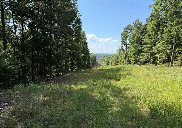 3rd image of 000 Tract E County Road 516, Berryville, AR 72616 | MLS# 1317229