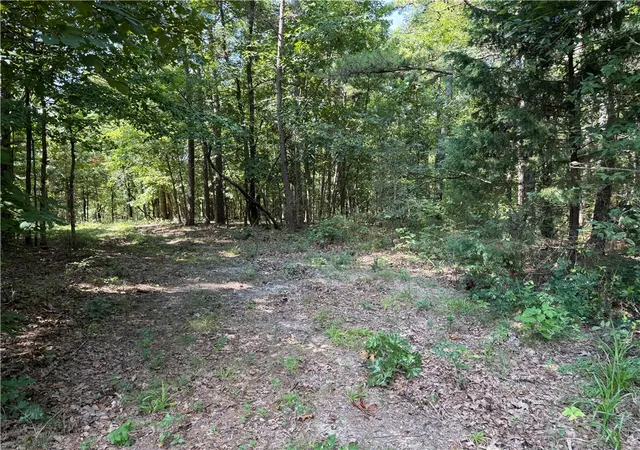 4th image of 000 Tract E County Road 516, Berryville, AR 72616 | MLS# 1317229