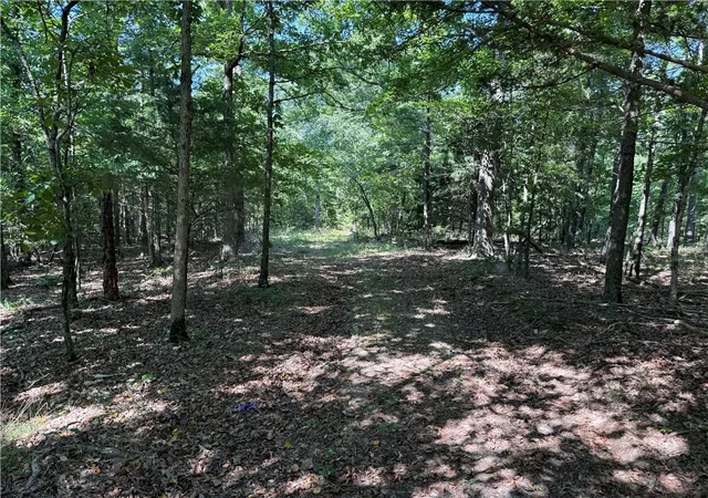 5th image of 000 Tract E County Road 516, Berryville, AR 72616 | MLS# 1317229