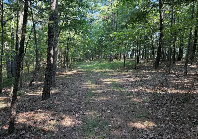 2nd image of 000 Tract B County Road 516, Berryville, AR 72616 | MLS# 1317125
