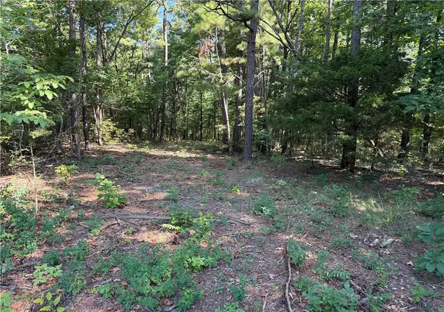 Photo 3 of Land for sale at 000 Tract B County Rd 516, Berryville, AR 72616 | MLS# 1317125 | Listing updated on 2026-07-27