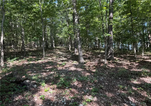 Photo 3 of Land for sale at 000 Tract A County Rd 516, Berryville, AR 72616 | MLS# 1317116 | Listing updated on 2026-07-27