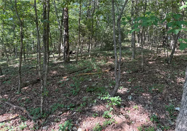 Photo 3 of Land for sale at 000 Tract A County Rd 516, Berryville, AR 72616 | MLS# 1317116 | Listing updated on 2026-07-27