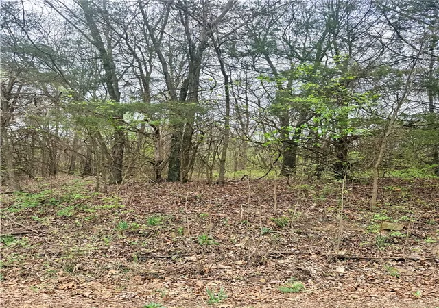Homes for sale in Green Forest, AR | Lot 4 Cr 906, Green Forest, AR 72638 | MLS# 1318047