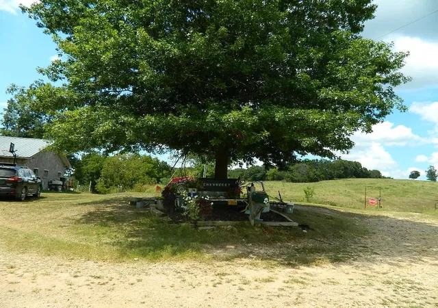 3rd image of 428 County Road 522, Berryville, AR 72616 | MLS# 1318156