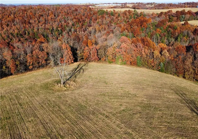 27th image of 1548 Grassy Gap Rd, Harrison, AR 72601 | MLS# 1318142