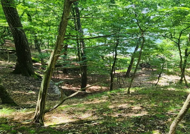 4th image of 15-02646-000 Mundell Rd, Rogers, AR 72756 | MLS# 1318361