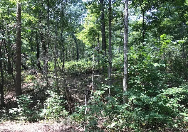 1st image of Lot 23 Block 2 Armitage Dr, Bella Vista, AR 72715 | MLS# 1318395