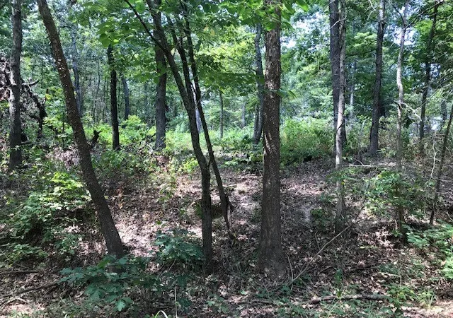 2nd image of Lot 23 Block 2 Armitage Dr, Bella Vista, AR 72715 | MLS# 1318395
