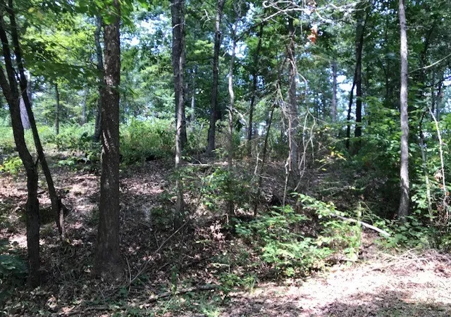 3rd image of Lot 23 Block 2 Armitage Dr, Bella Vista, AR 72715 | MLS# 1318395