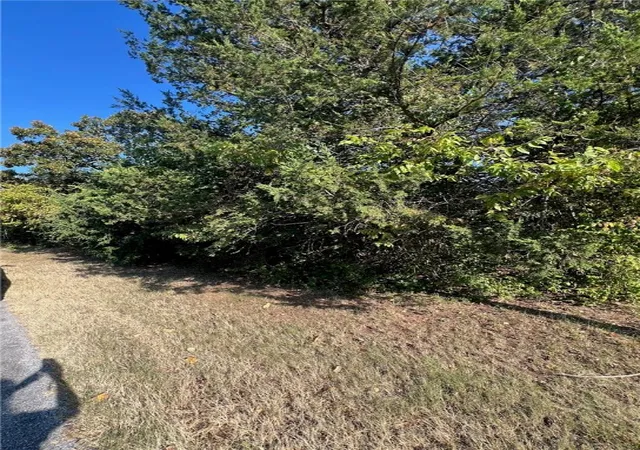 Photo 3 of Land for sale at 775 01755 000 Larchwood Dr, Diamond City, AR 72644 | MLS# 1318403 | Listing updated on 2026-01-14