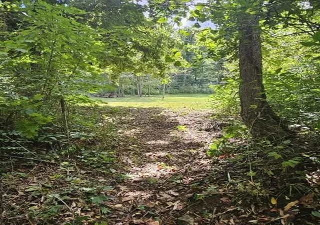 23rd image of 525 County Road 235, Eureka Springs, AR 72632 | MLS# 1317811