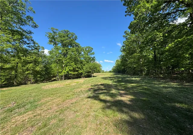 Homes for sale in Decatur, AR | Lot 3 S Pleasant Valley Rd, Decatur, AR 72722 | MLS# 1318451