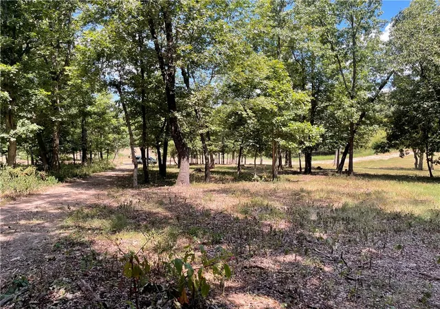 Homes for sale in Decatur, AR | Lot 3 S Pleasant Valley Rd, Decatur, AR 72722 | MLS# 1318451