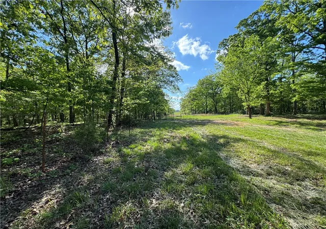 Homes for sale in Decatur, AR | Lot 3 S Pleasant Valley Rd, Decatur, AR 72722 | MLS# 1318451