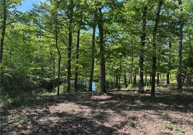 Homes for sale in Decatur, AR | Lot 3 S Pleasant Valley Rd, Decatur, AR 72722 | MLS# 1318451