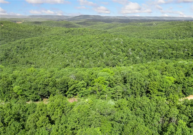19th image of 267b Nc 3320, Marble Falls, AR 72648 | MLS# 1319382