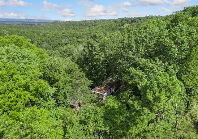 2nd image of 267b Nc 3320, Marble Falls, AR 72648 | MLS# 1319382