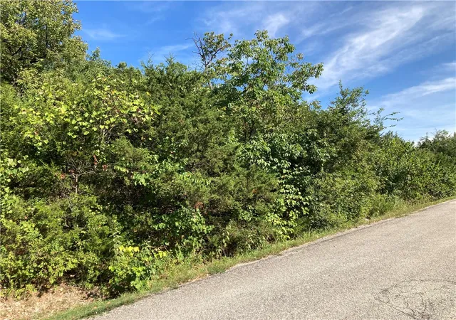 Homes for sale in Holiday Island, AR | Tbd Hillside Dr, Holiday Island, AR 72631 | MLS# 1319433