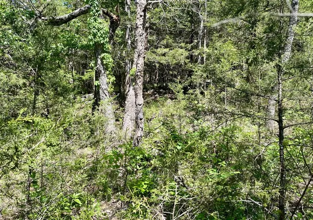 Homes for sale in Holiday Island, AR | Tbd Hillside Dr, Holiday Island, AR 72631 | MLS# 1319433