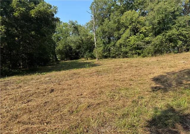2nd image of Tbd Spring Ave, Sulphur Springs, AR 72768 | MLS# 1321387