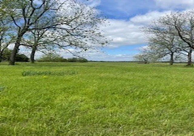 5th image of 4 Check'S Corner Rd, Sulphur Springs, AR 72768 | MLS# 1321577
