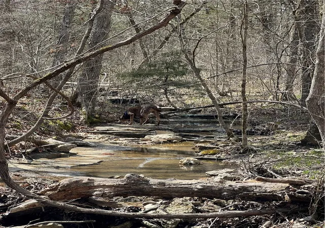 3rd image of Lot 45 Oaks Landing Dr, Eureka Springs, AR 72631 | MLS# 1321751