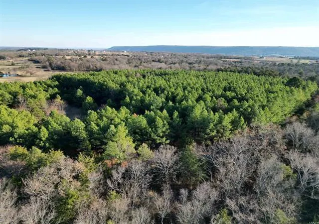 Photo 2 of Land for sale at 00 Gravel Hl B Rd, Russellville, AR 72802 | MLS# 1321611 | Listing updated on 2026-06-16