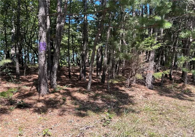 Photo 4 of Sale Pending at Railroad Cut Rd, Rogers, AR 72756 | MLS# 1322001 | Listing updated on 2026-01-14