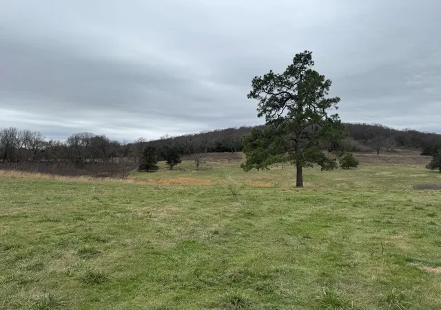 Homes for sale in Lincoln, AR | Tract C Nicewarner Rd, Lincoln, AR 72744 | MLS# 1322635