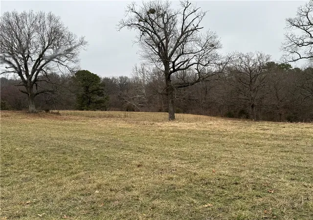 Homes for sale in Lincoln, AR | Tract C Nicewarner Rd, Lincoln, AR 72744 | MLS# 1322635