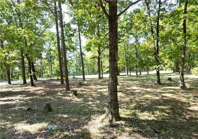 Homes for sale in Clinton, AR | 507 Henderson Rd, Clinton, AR 72031 | MLS# 1322692