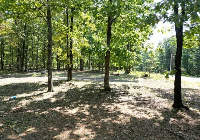Homes for sale in Clinton, AR | 507 Henderson Rd, Clinton, AR 72031 | MLS# 1322692