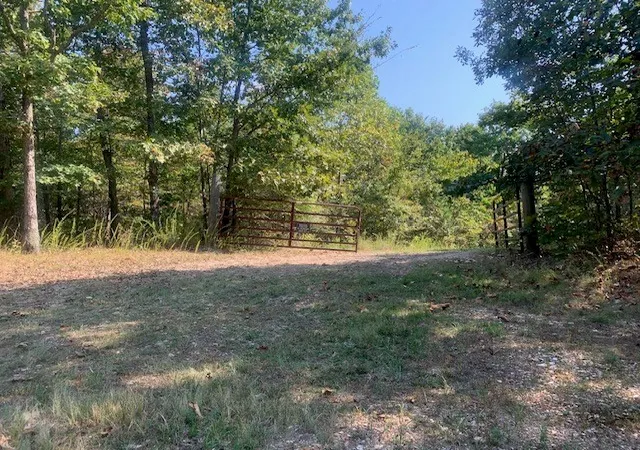 Homes for sale in Yellville, AR | 304 Tater Knob Ln, Yellville, AR 72687 | MLS# 1322891
