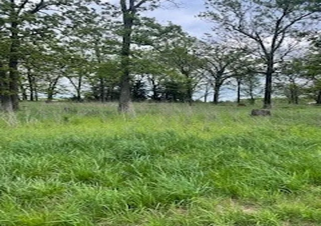 3rd image of 5 Check'S Corner Rd, Sulphur Springs, AR 72768 | MLS# 1322309