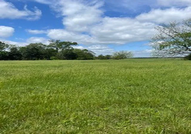 5th image of 5 Check'S Corner Rd, Sulphur Springs, AR 72768 | MLS# 1322309