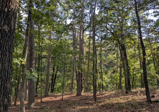 Homes for sale in Eureka Springs, AR | 14 Pine Crest Ln, Eureka Springs, AR 72632 | MLS# 1323464