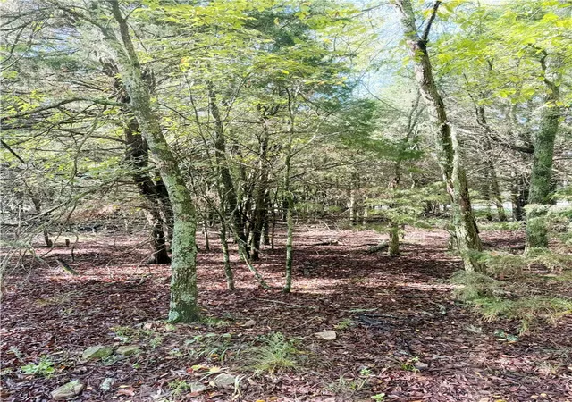 1st image of Lot 60 Lodge Dr, Garfield, AR 72732 | MLS# 1323502