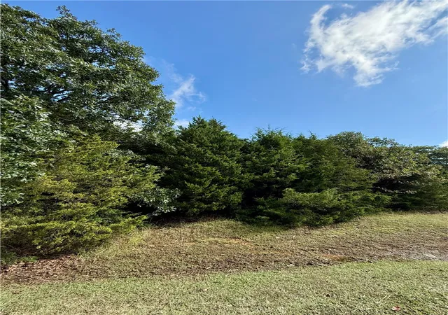 4th image of Lot 60 Lodge Dr, Garfield, AR 72732 | MLS# 1323502