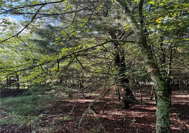 5th image of Lot 60 Lodge Dr, Garfield, AR 72732 | MLS# 1323502