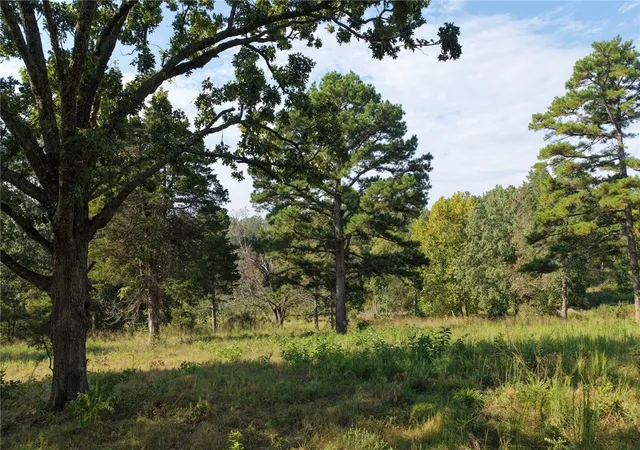 1st image of Wilson Springs Rd, Harrison, AR 72601 | MLS# 1323974