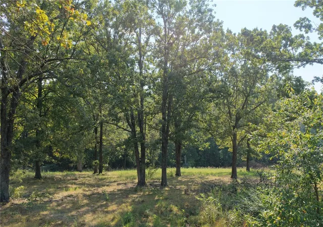 2nd image of Wilson Springs Rd, Harrison, AR 72601 | MLS# 1323974