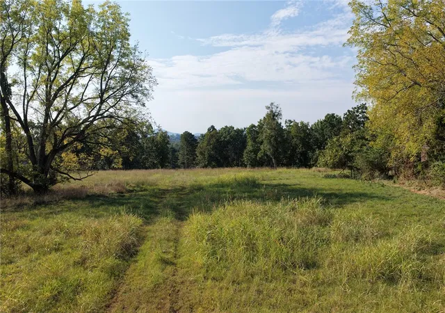 3rd image of Wilson Springs Rd, Harrison, AR 72601 | MLS# 1323974