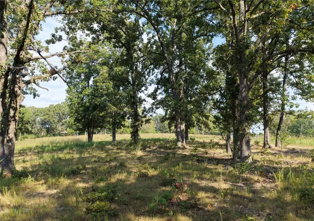 4th image of Wilson Springs Rd, Harrison, AR 72601 | MLS# 1323974