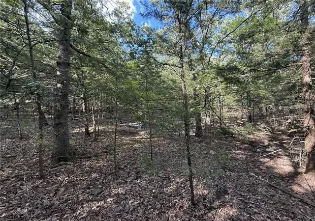 16th image of W Carrol, Fayetteville, AR 72701 | MLS# 1323720