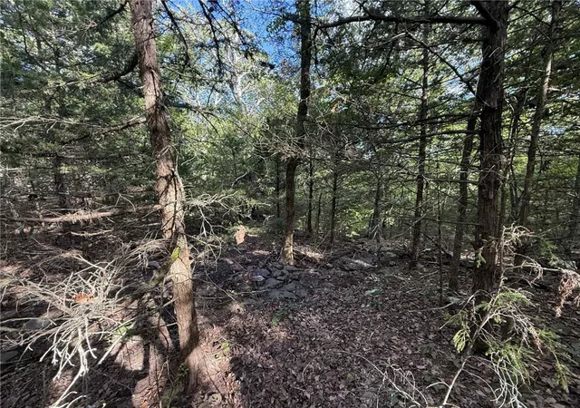 3rd image of W Carrol, Fayetteville, AR 72701 | MLS# 1323720