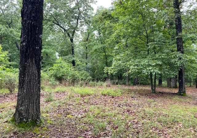 Land for sale at Lot 5 Lakeview Dr, Bull Shoals, AR 72619 | MLS# 1324986